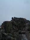 med_DSCF0452.JPG (74k)